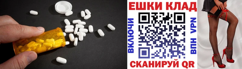 блэк спрут вход  Новая Ладога  Ecstasy Punisher 