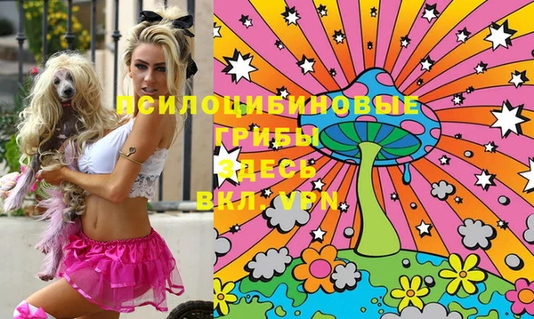 не бодяженный Михайловск