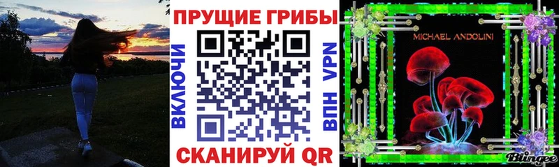 где продают Новая Ладога Псилоцибиновые грибы мицелий