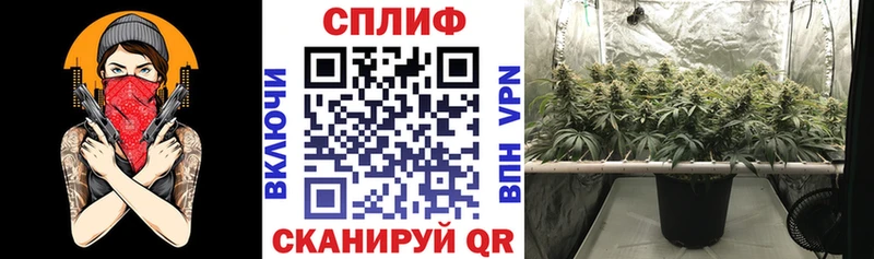 Марихуана SATIVA & INDICA  маркетплейс какой сайт  Новая Ладога 